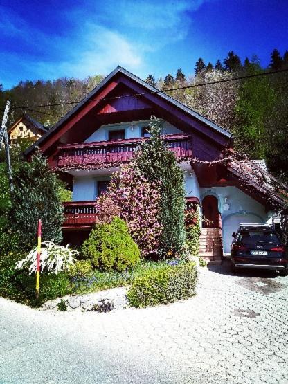 Pocitniska Hisa Novak Villa Bohinj ภายนอก รูปภาพ